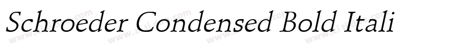 Schroeder Condensed Bold Italic字体转换